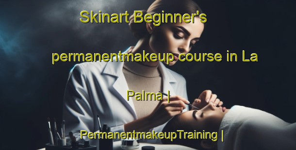 Skinart Beginner's permanentmakeup course in La Palma | PermanentmakeupTraining | PermanentmakeupClasses | SkinartTraining-United States